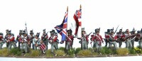Waterloo British Infantry Centre Companies 28mm 3