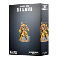 Space Marines Tor Garadon gallery