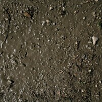 AK Interactive Terrains Wet Ground 250ml 3