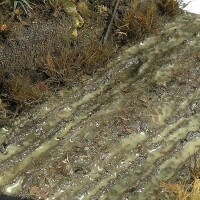 AK Interactive Terrains Wet Ground 250ml 4