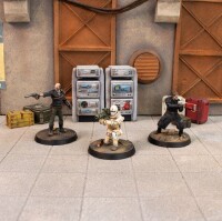 Fallout Wasteland Warfare Institute Cove gallery