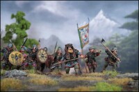 Vikings 28mm 7
