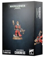 Adepta Sororitas Canoness gallery