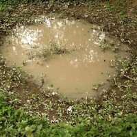 AK Interactive Puddles 60ml 2