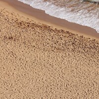 AK Interactive Terrains Beach Sand 250ml 3
