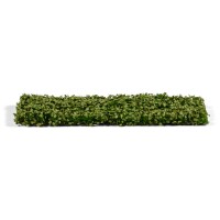 AK Interactive Platane Foliage Summer 2