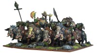 KoW Orc Gore Rider Regiment gallery