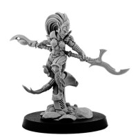Space Elves Phoenix gallery