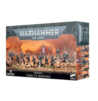 Dark Eldar Kabalite Warriors gallery