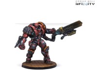 Nomads Gator Squadron gallery