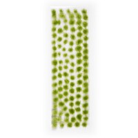 AK Interactive Light Green Tufts 2mm 2