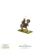 Hail Caesar Gallic Celt Starter Army 28mm 5