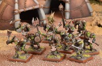 KoW Orc Orc Morax Troop 2