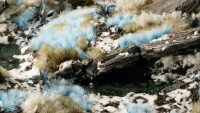 Alien Frost Tufts 6mm Wild 2