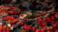 Alien Blood Moon Tufts 6mm Wild 2