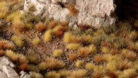 Dry Steppe Tufts Set Wild 2