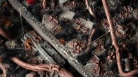 Alien Infestation Basing Bits 3