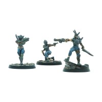 Fallout Wasteland Warfare Raiders Disciples Leaders 2