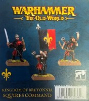 Kingdom of Bretonnia Squires Command [GW gallery