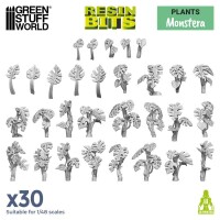 Monstera Pflanzen Set (30) gallery