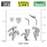 Monstera Pflanzen Set (30) 3