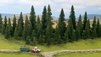 Noch Modelltannen 25 Stück 6-15cm hoch 4