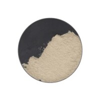 Scale75 Soilworks Concrete Ground Acrylic Paste 100ml 2