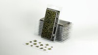 Laser Plants Dumb Cane