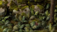 Laser Plants Bracken 3