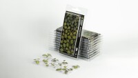 Laser Plants Monstera
