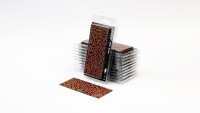 Laser Plants Red Aloe 1