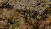 Laser Plants Agave 3