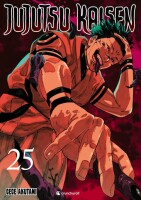 Jujutsu Kaisen Band 25 (Deutsch) gallery