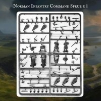 Norman Warband 28mm 7