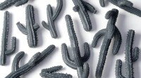 Saguaro Cacti Basing Bits 3