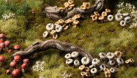 Forest Mushrooms Basing Bits 5