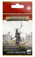 Cities of Sigmar Amethyst Knellmage gallery