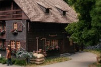 Faller Uhrenmacherhaus mit Figur Jubiläumsmodell H0 4