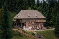 Faller Öhlermühle mit Figur Ju gallery