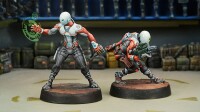 Nomads Zeros (Combie Rifle / Hacker) 3