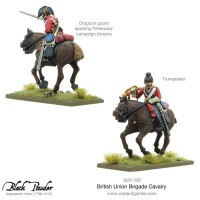 British Union Brigade Cavalry Napoleonic Wars (12) 4