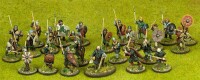 SAGA Anglodänen Starter (4 Punkte) gallery