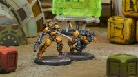 Yu Jing Su-Jian Immediate Action Unit 3