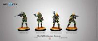 NA2 Brawlers Mercenary Enforcers